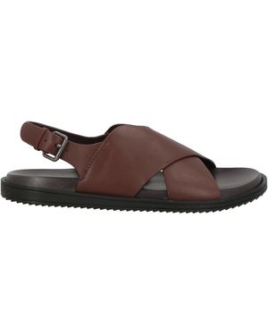 Cerruti 1881 Sandals Cow Leather - Brown