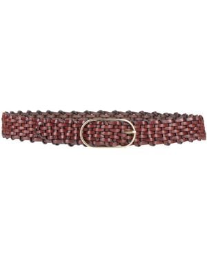 Barena Belt - Purple