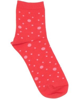 Nice Things Socks & Hosiery - Red