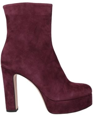 FRANCESCO SACCO Ankle Boots - Purple