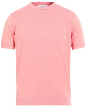 Kangra Jumpers - Pink