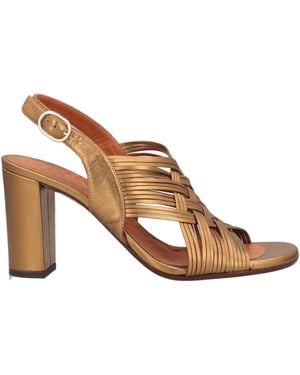 Chie Mihara Sandals - Brown