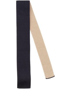 Fiorio Ties & Bow Ties - Blue
