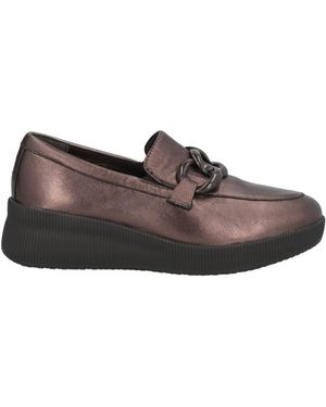 Cinzia Soft Loafers - Brown