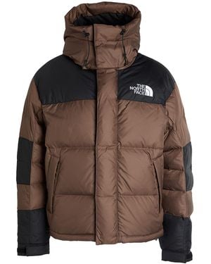 The North Face Piumino & Imbottito Sintetico - Marrone