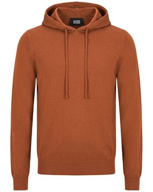 Alpha Studio Jumper Merino Wool - Brown