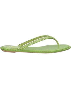 Rene Caovilla Thong Sandal - Green