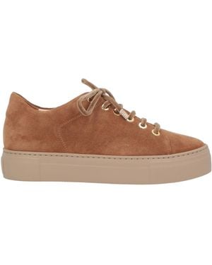 Agl Attilio Giusti Leombruni Trainers Leather - Brown