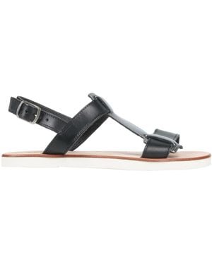 Studio Pollini Sandals - Black