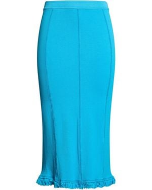 Acne Studios Midi Skirt - Blue