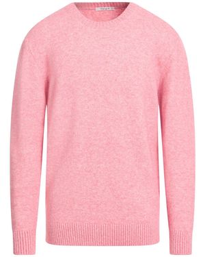 Kangra Sweaters - Pink