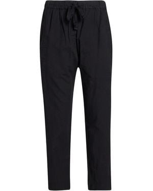 Xirena Pants - Black