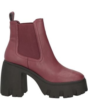 Steve Madden Botines de caña alta - Morado