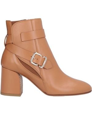 Tod's Ankle Boots - Brown