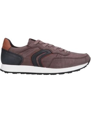 Geox Sneakers - Braun