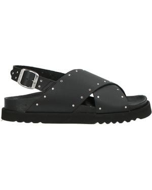 Scholl Sandals - Black