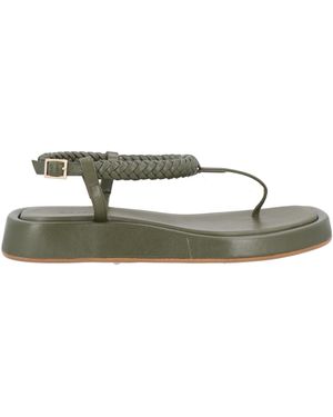 GIA RHW Thong Sandal - Green