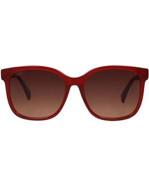 Max Mara Sunglasses - Brown