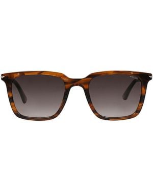 Police Sunglasses - Brown