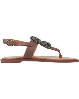 Divine Follie Dark Thong Sandal Leather - Brown