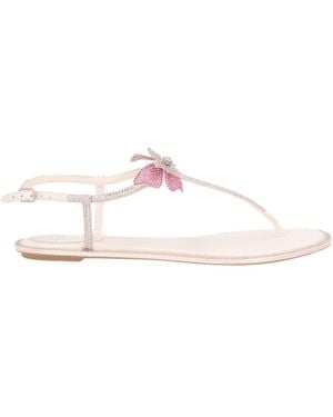 Rene Caovilla Thong Sandal - Pink