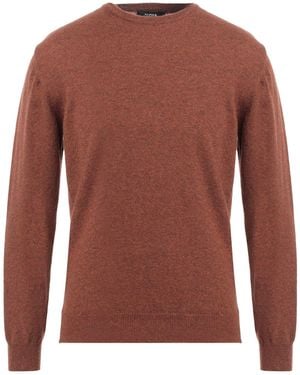 Alpha Studio Jumper - Brown