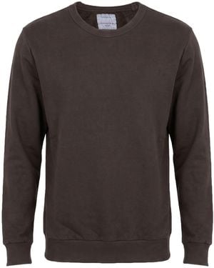 Crossley Sweatshirt Cotton - Brown