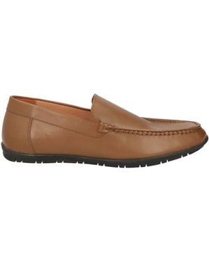 Loriblu Loafer - Brown