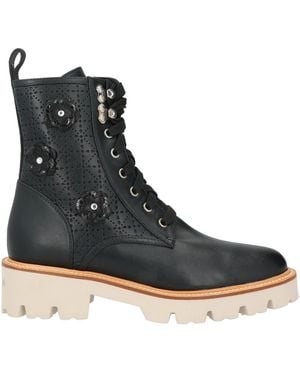 Baldinini Ankle Boots Leather - Black