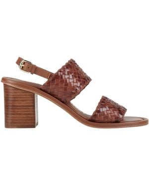 Janet & Janet Sandals Leather - Brown