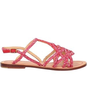 Maliparmi Sandals - Pink