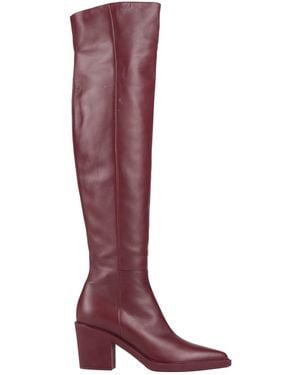 Gianvito Rossi Burgundy Boot Leather - Red