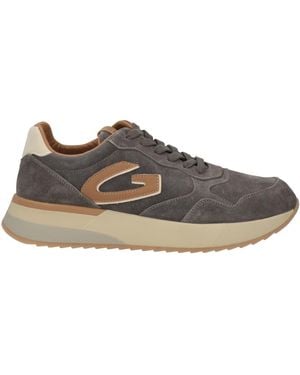 Alberto Guardiani Sneakers - Braun