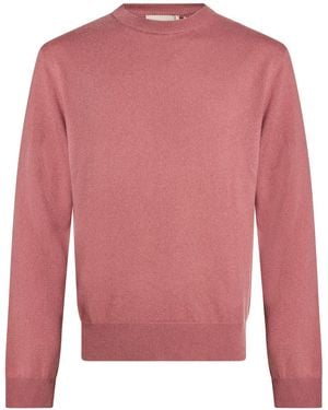 Daniele Fiesoli Sweater Cashmere - Pink