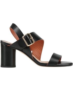 Chiarini Bologna Sandals - Black