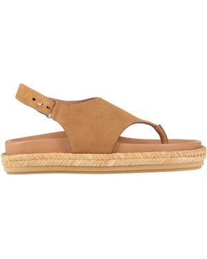 Paloma Barceló Camel Thong Sandal Leather - Brown