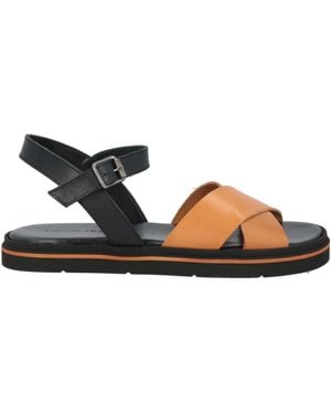 Norma J. Baker Camel Sandals Calfskin - Black
