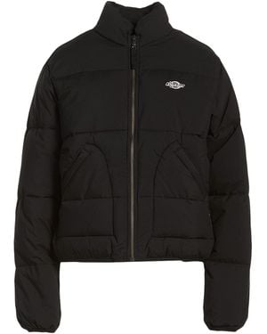 Dickies Pufferjacke & Daunenjacke - Schwarz