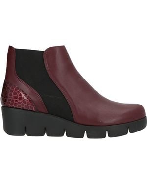 The Flexx Burgundy Ankle Boots Leather - Purple