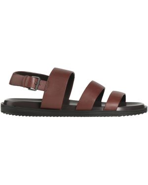 Cerruti 1881 Chocolate Sandals Cow Leather - Brown