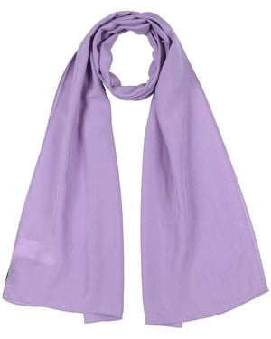 MAX&Co. Scarves - Purple
