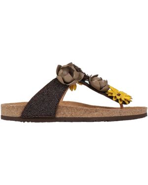 Maliparmi Thong Sandal - Brown