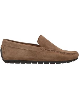 Marechiaro 1962 Loafer - Brown