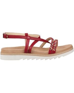 NU NU' Sandals Leather - Brown