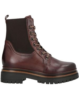 Mjus Ankle Boots - Brown