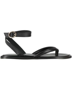 Alohas Thong Sandal - Black