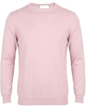 Drumohr Sweater Super 140S Wool - Pink