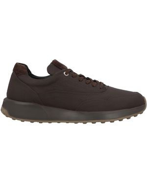 Cerruti 1881 Dark Trainers Cow Leather - Brown