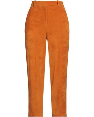 Circolo 1901 Trousers Cotton, Polyester - Orange