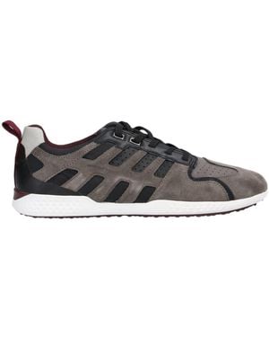Geox Sneakers Leather - Gray